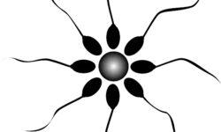 Medical Technology Benefits and Advancements